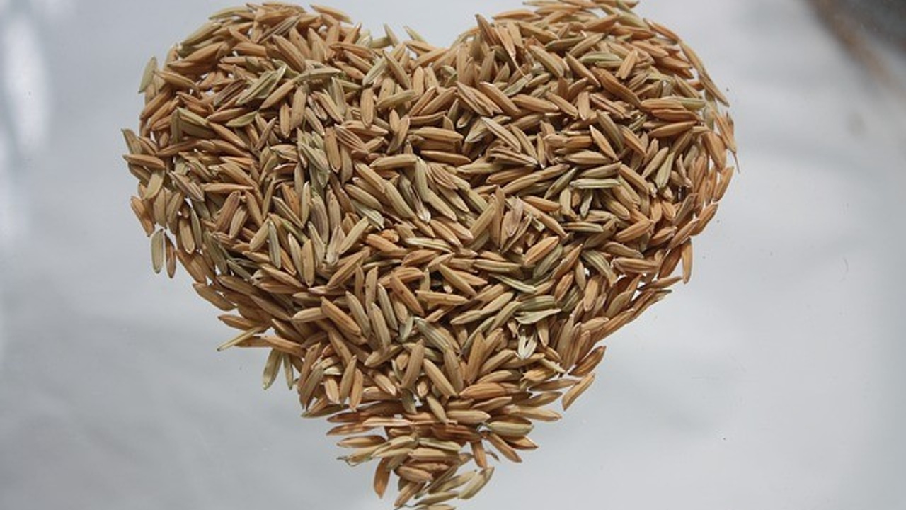 natural treatment for heart disease