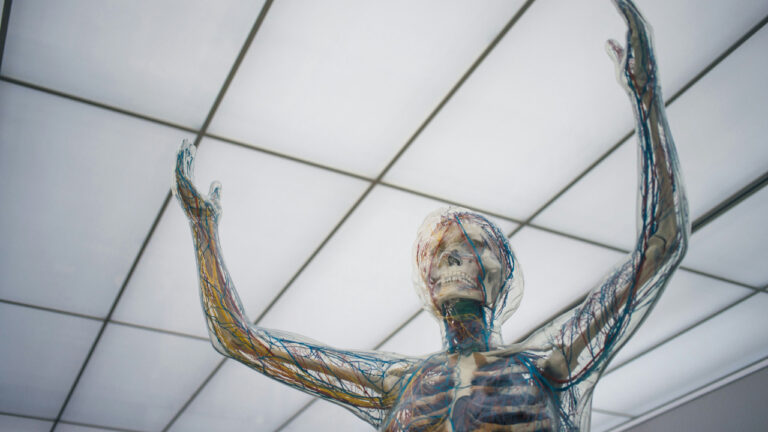 acupuncture for nerve pain