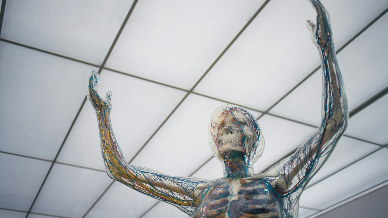 acupuncture for nerve pain