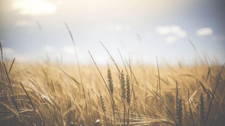 how to go gluten-free