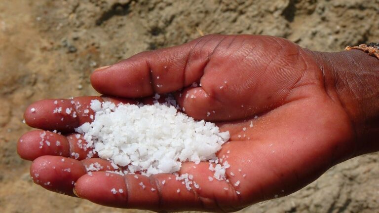 salt and sodium
