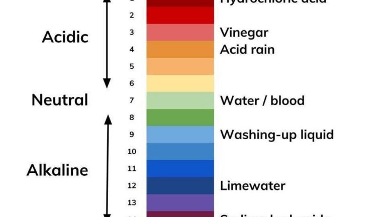acid alkaline scale