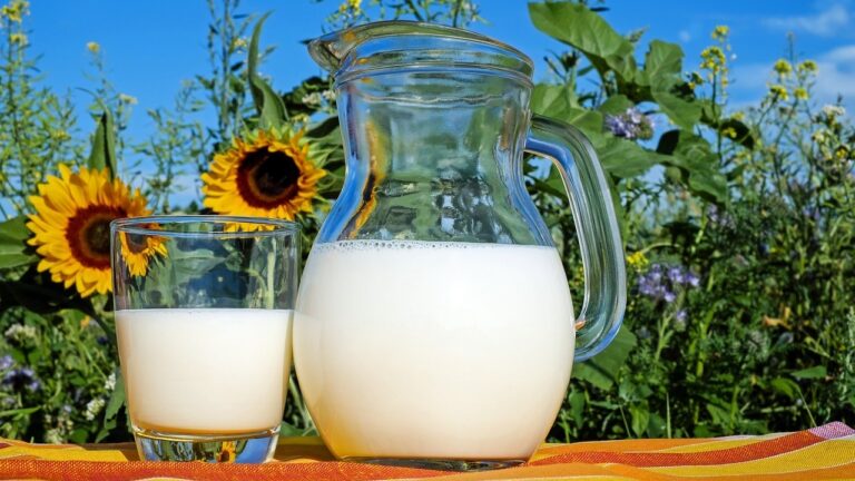 raw milk