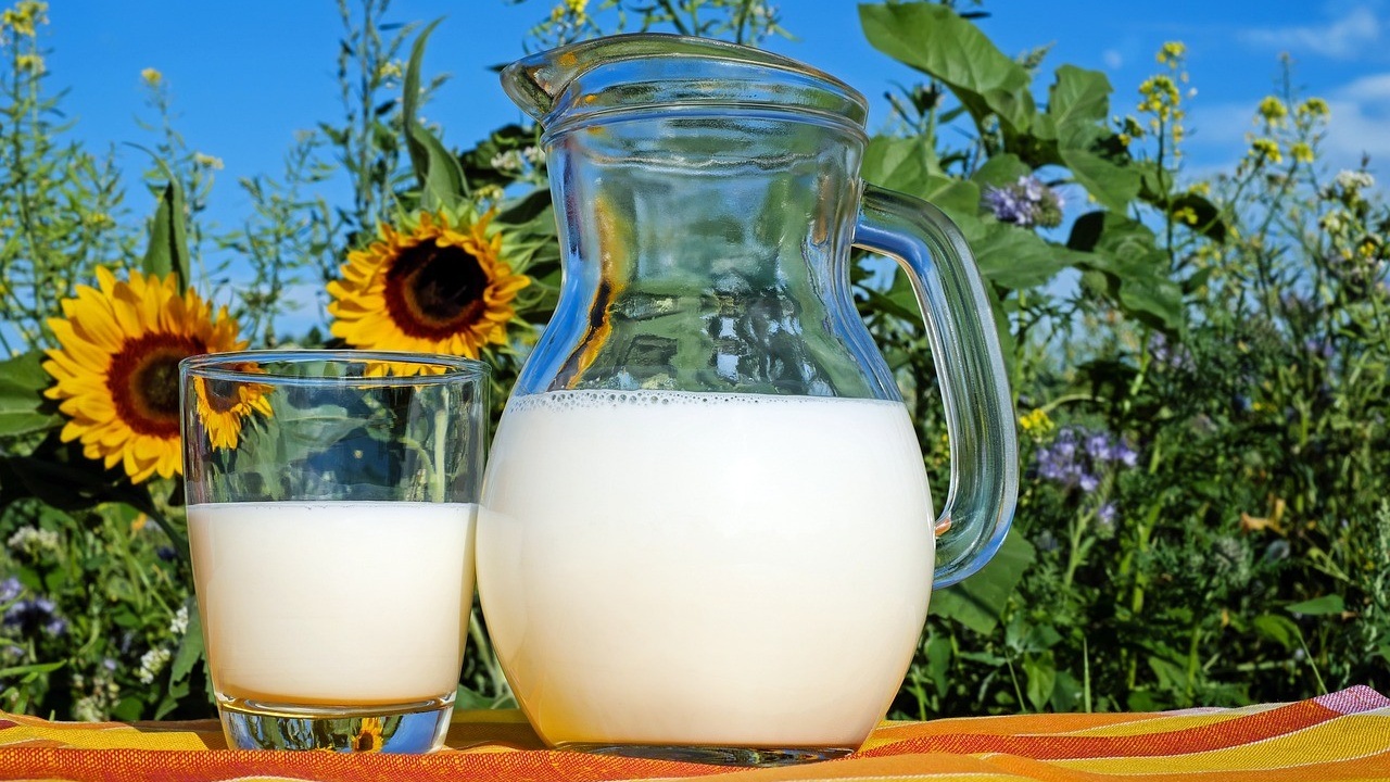 raw milk